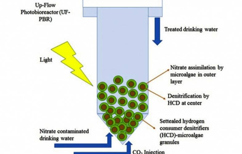 اختراع باحثي جامعة طهران لإزالة النترات من مصادر مياه الشرب/تم تسجيل هذا الاختراع الدولي باسم جامعة طهران في مكتب براءات الاختراع الأمريكي