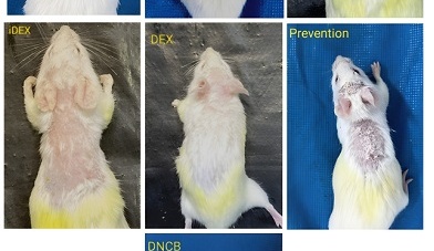 New Achievement by Researchers at the Faculty of Veterinary Medicine, University of Tehran: Recombinant Parasite Protein Reduces Allergic Skin Inflammation