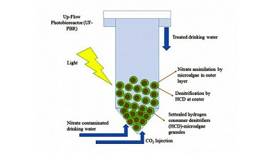 The invention of University of Tehran researchers to remove nitrate from drinking water sources /This international invention in the name of University of Tehran was registered in the United States Patent Office