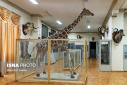 The Most Unique Museum of Zoology in Iran