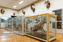 The Most Unique Museum of Zoology in Iran