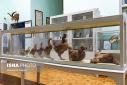 The Most Unique Museum of Zoology in Iran