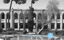 170 Years with the Quintessence of Iran's Higher Education: From Dar ul-Funun to University of Tehran (UT)