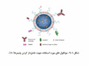 At UT IBB, Intelligent Nano-Carriers Were Synthesized for Accurate Targeting of Ovarian Cancer Cells