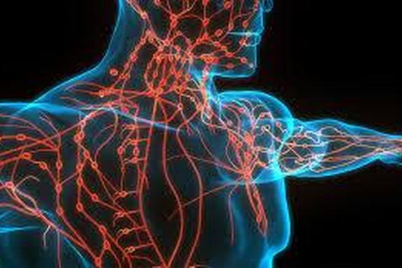 Iranian Scientists Design Electrical System for Detecting Cancerous Lymph Nodes