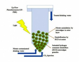 The invention of University of Tehran researchers to remove nitrate from drinking water sources /This international invention in the name of University of Tehran was registered in the United States Patent Office.