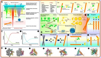 Mysteries of protein oligomers in the article published by University of Tehran researchers in the journal affiliated with Cambridge University