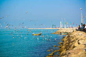 Persian Gulf ecosystem challenges