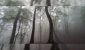 Vital Role of Fog Precipitation in Nutrient Input to Hyrcanian Forests
