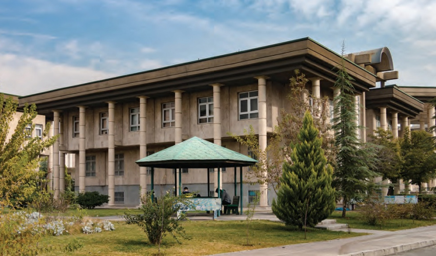 Faculty of Physical Education and Sport Sciences