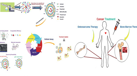 ساخت نانو سامانه هوشمند انتقال همزمان دارو و ژن به سلول‌های سرطان استخوان در دانشگاه تهران