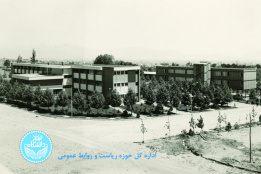 کوی دانشگاه