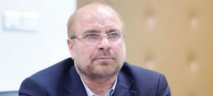 عضو هیأت علمی دانشگاه تهران، رییس مجلس شورای اسلامی شد