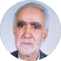 سید حسین صفایی